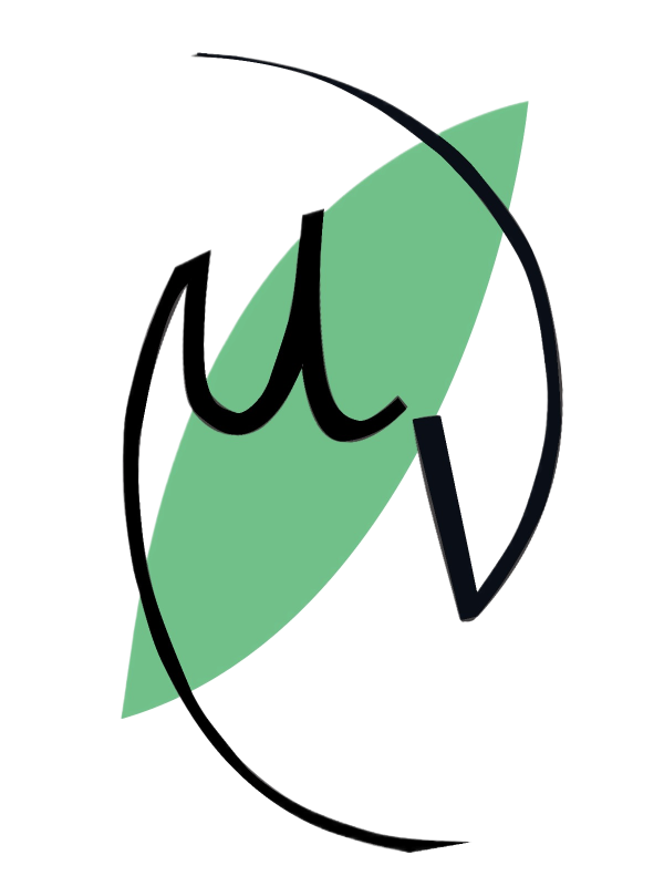 Logo MINENS - Servizi di consulenza per il settore minerario e ambientale